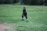 20120425077.jpg